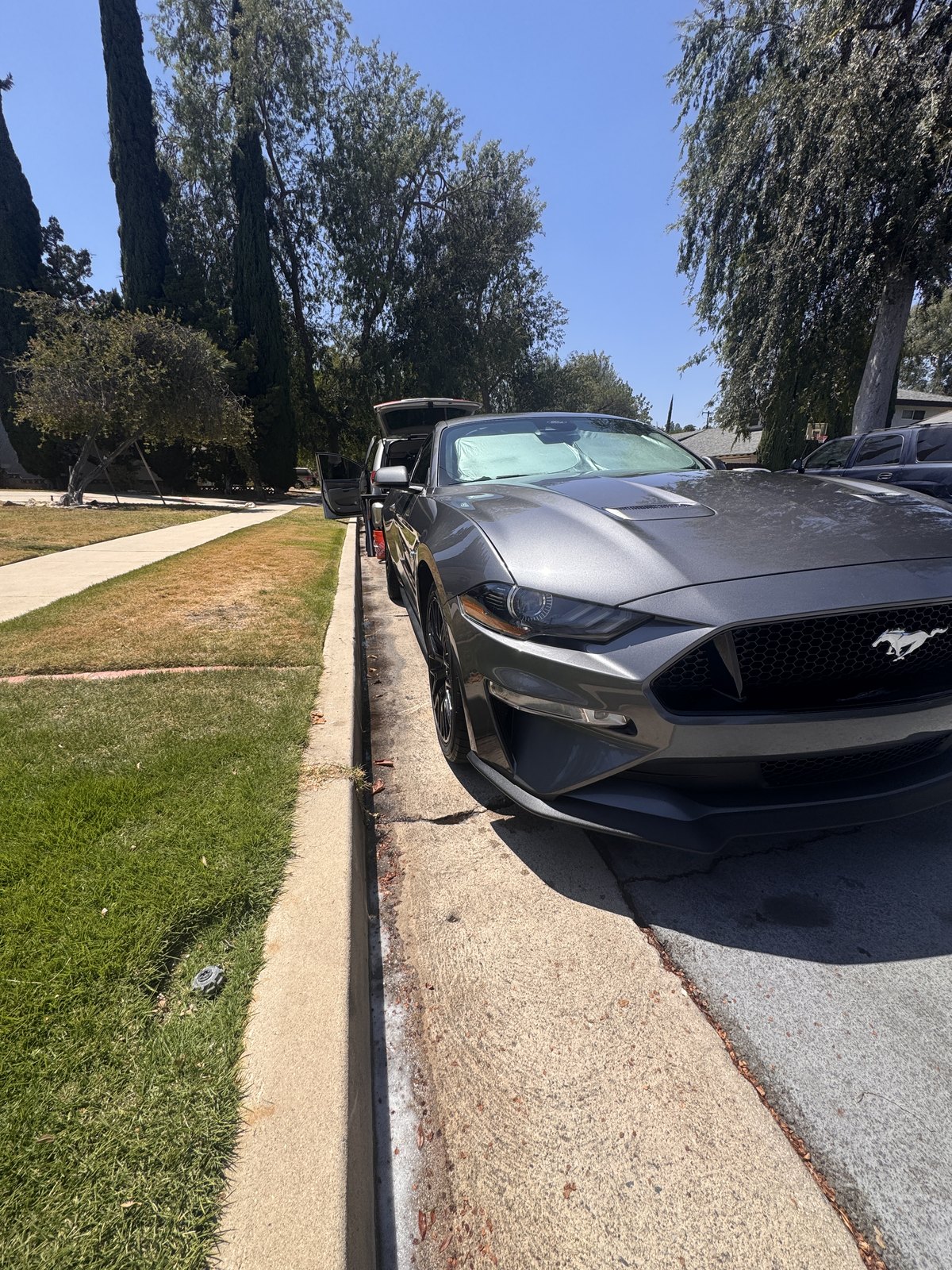 Gray Ford Mustang after detailing, front three-quarter view
