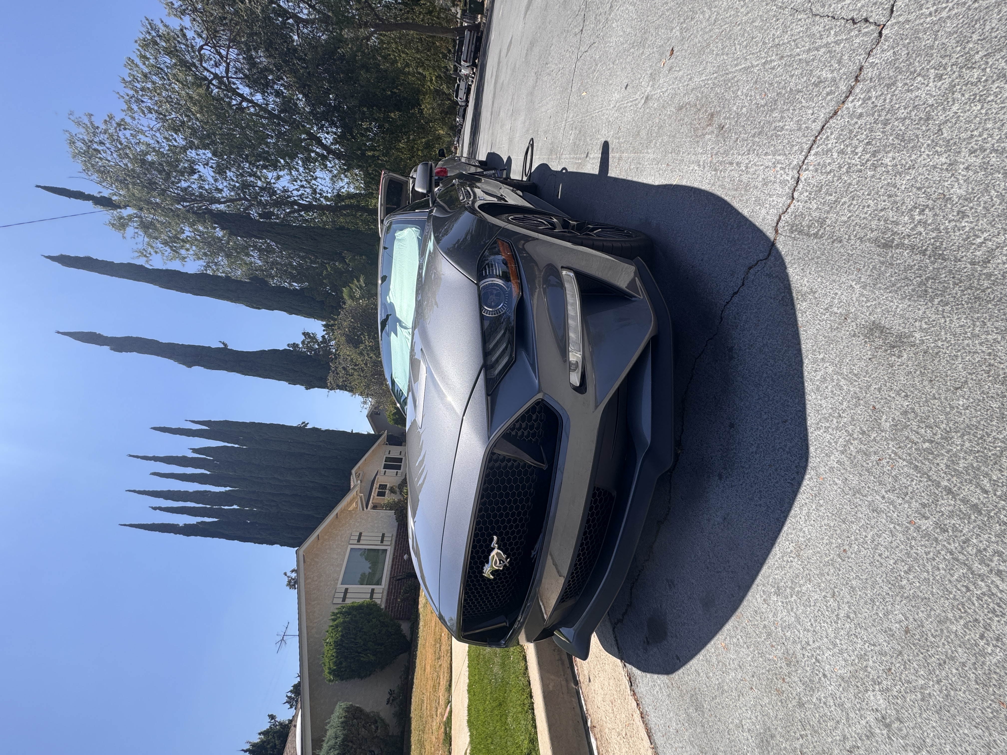 Freshly detailed gray Ford Mustang